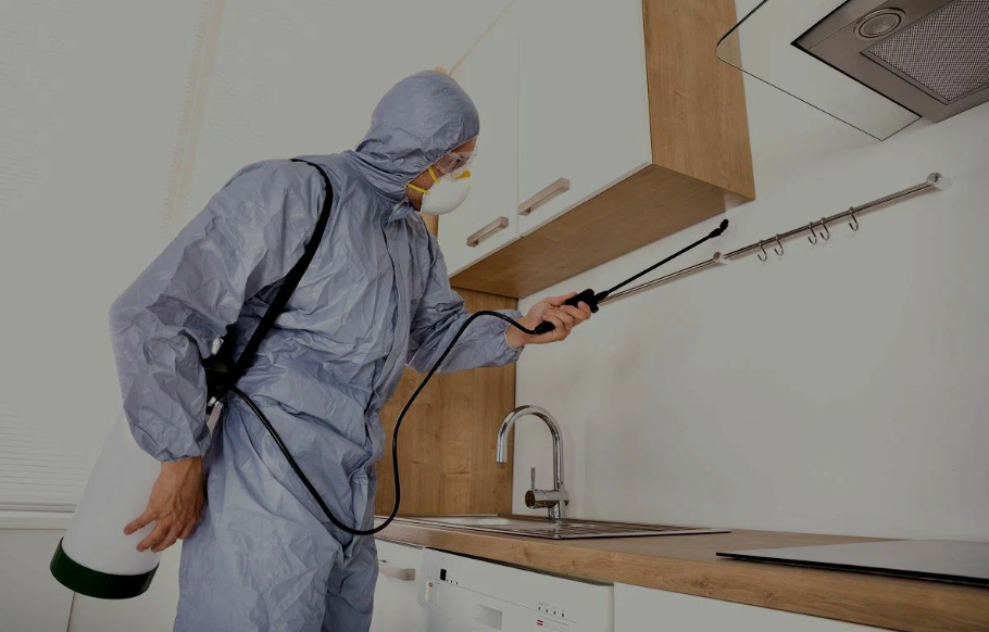 Dinuba pest managment